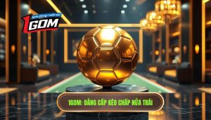 Kèo Chấp Nửa Trái Là Gì? Bí Quyết Soi Kèo 0.5 Bao Thắng Từ 1GOM